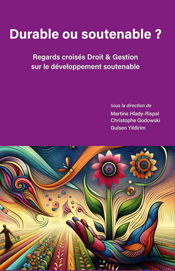 Durable ou soutenable ? : regards croisés droit & gestion sur le développement soutenable - MARTINE HLADY RISPAL & AL
