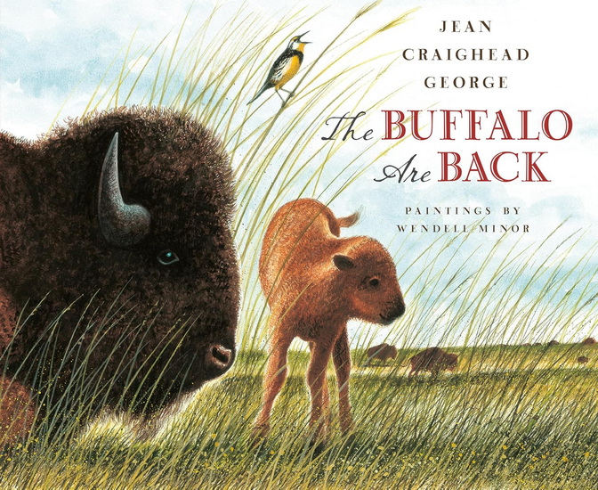 BUFFALO ARE BACK - JEAN CRAIGHEAD GEORGE - WENDELL MINOR