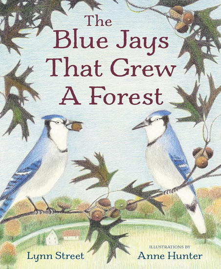 BLUE JAYS THAT GREW A FOREST - LYNN STREET - ANNE HUNTER