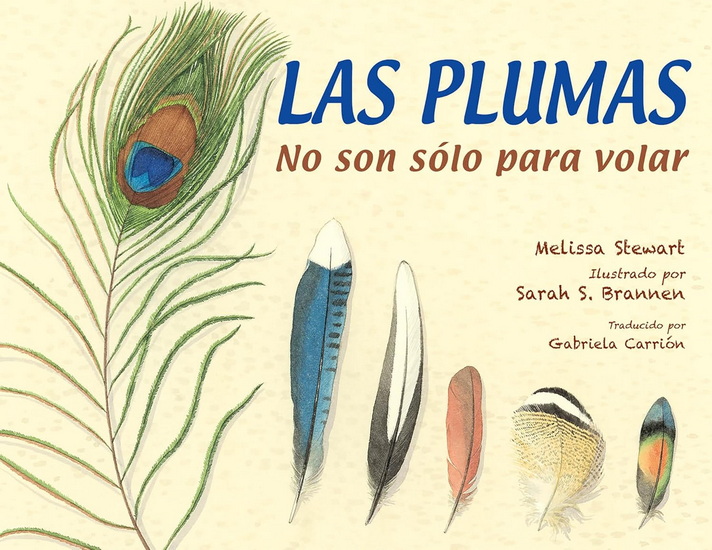 LAS PLUMAS: No son sólo para volar - MELISSA STEWART - SARAH S BRANNEN