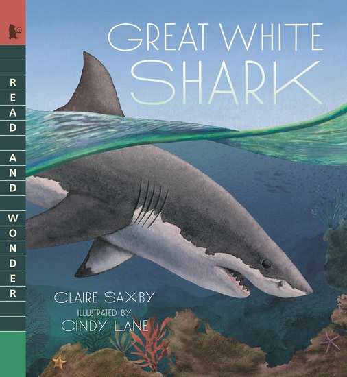 GREAT WHITE SHARK - CLAIRE SAXBY - CINDY LANE