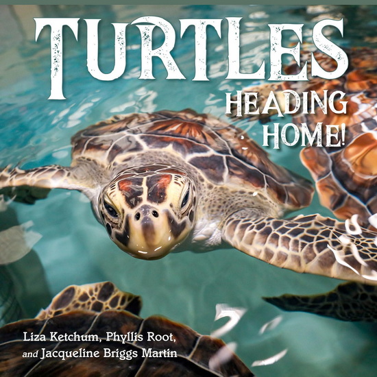 TURTLES HEADING HOME! - LIZ KETCHUM & AL
