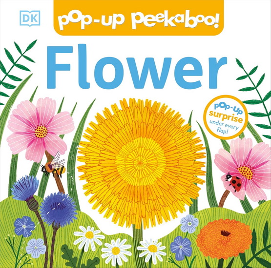POPUP PEEK FLOWER - COLLECTIF