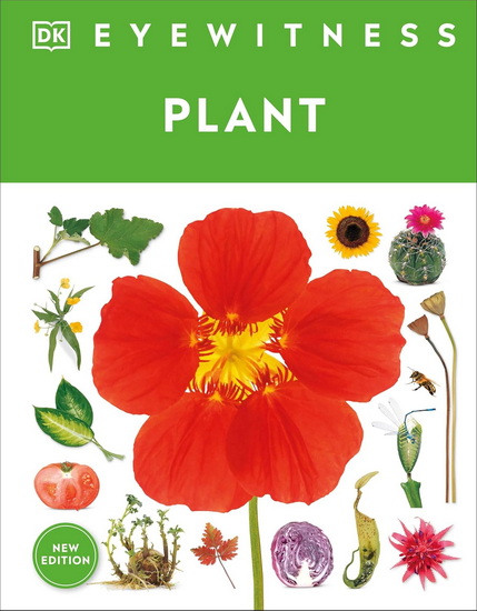 EW PLANT 2E HC - COLLECTIF
