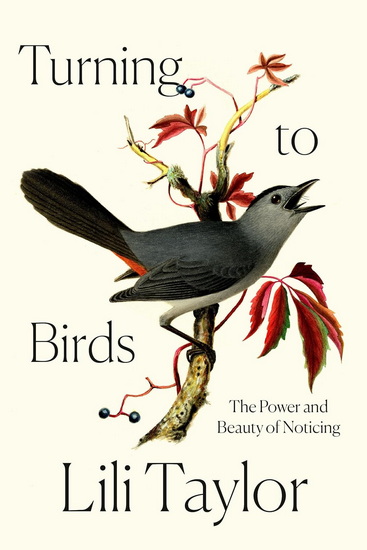 TURNING TO BIRDS: The Power and Beauty of Noticing - LILI TAYLOR