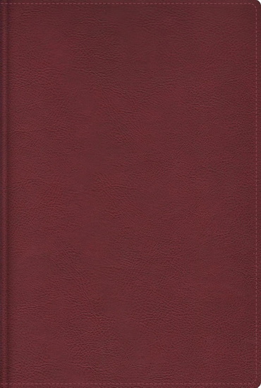 RVR, Biblia de estudio trasfondo cultural, Leathersoft, Rojo vino, Interior a color, Comfort Print, Explora el mundo antiguo de la Escritura - REINA VALERA REVISADA