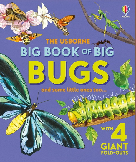 Big Book of Big Bugs - EMILY BONE - FABIANO FIORIN