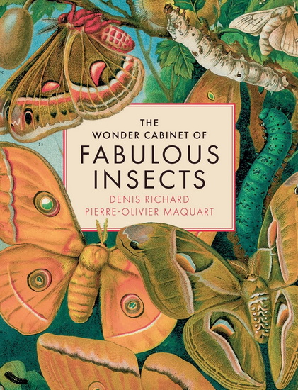 The Wonder Cabinet of Fabulous Insects : Secrets of the Worlds Rarest and Strangest Insects - DENIS RICHARD - PIERRE-OLIVIER MAQUART