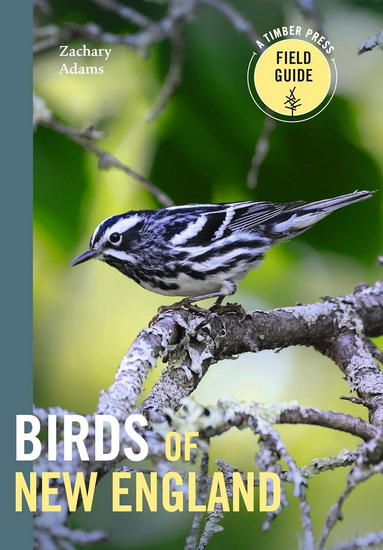 Birds of New England: A Timber Press Field Guide - ZACH ADAMS