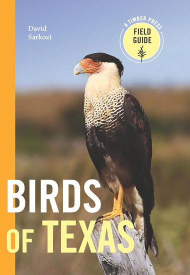 Birds of Texas: A Timber Press Field Guide - DAVID SARKOZI