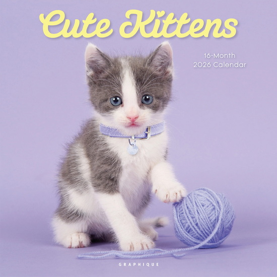 Calendrier 2026 Cute Kittens 16M 30x30