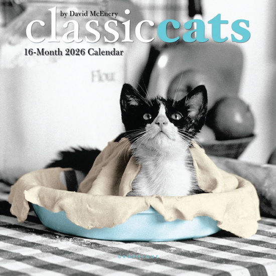 Calendrier 2026 Classic cats 16M 18x18