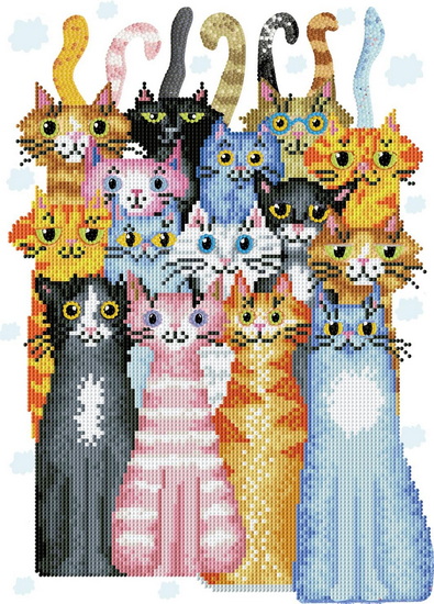Chats miaou