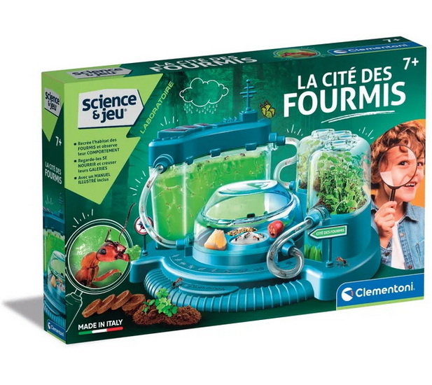 Science & jeu: la cité des fourmis