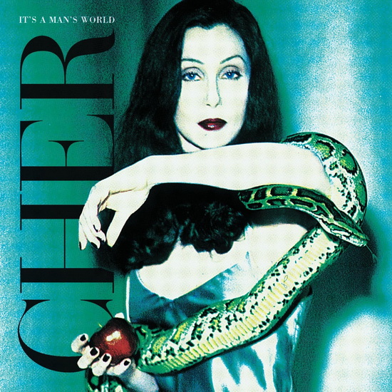 It's A Man's World (Vinyle) - CHER