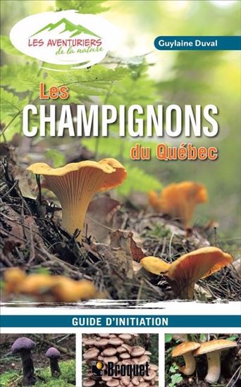 Les Champignons du Québec : Guide d&#39;initiation - GUYLAINE DUVAL