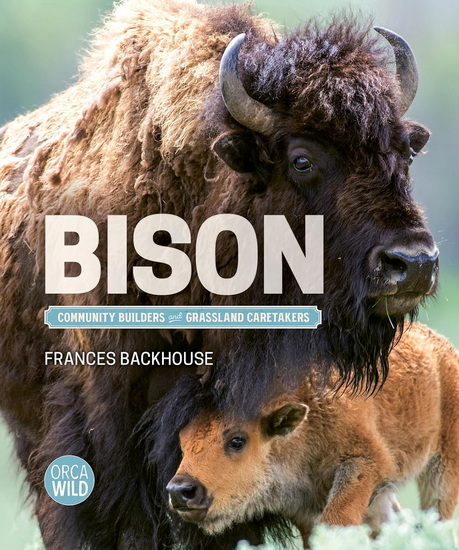 Bison: Community Builders and Grassland Caretakers - FRANCES BACKHOUSE