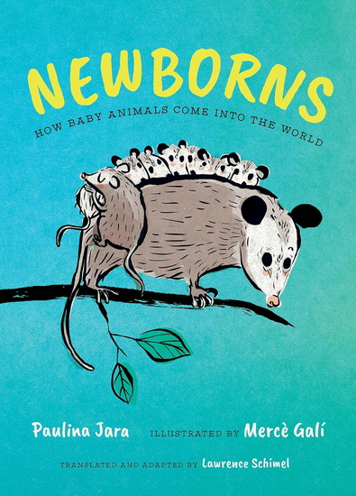 Newborns: How Baby Animals Come Into the World - PAULINA JARA - MERCÈ GALÍ
