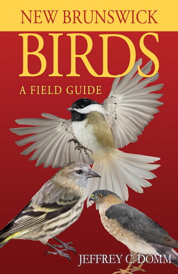 New Brunswick Birds: A Field Guide - JEFFREY C DOMM