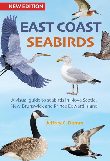 East Coast Seabirds - New Edition: A visual guide to seabirds in Nova Scotia, New Brunswick and PEI - JEFFREY C DOMM