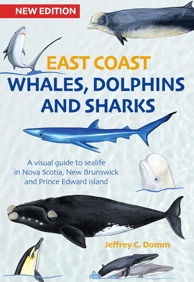 East Coast Whales, Dolphins and Sharks - New Edition: A visual guide to sea life in Nova Scotia, New Brunswick and PEI - JEFFREY C DOMM