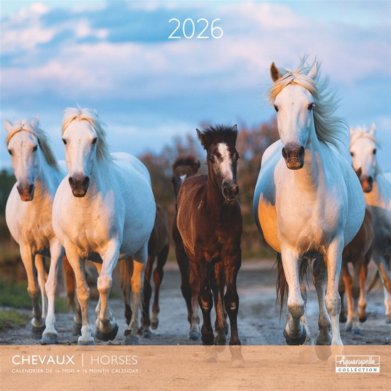 Calendrier 2026 Chevaux 30x30cm