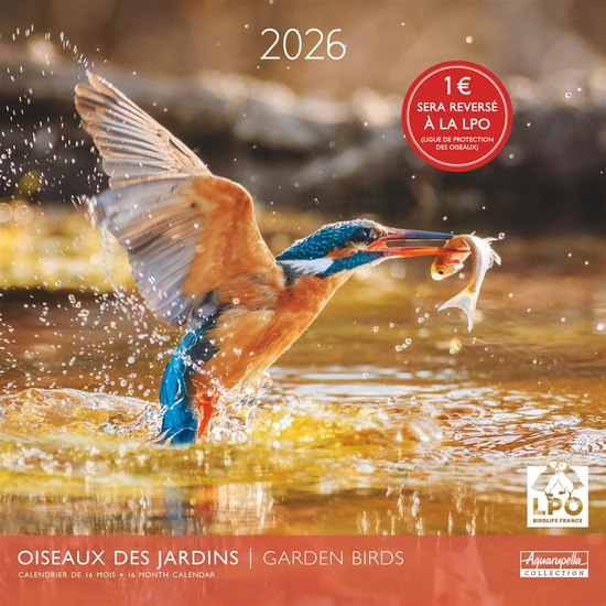 Calendrier 2026 Oiseaux 30x30cm