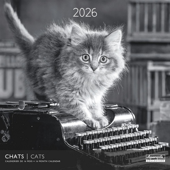 Calendrier 2026 Chats N&B 30x30cm