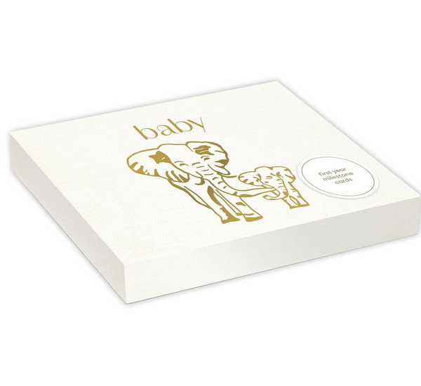 Baby: First Year Milestone Cards: 12 Monthly Cards for Photos and Display - LOULOU BAKER