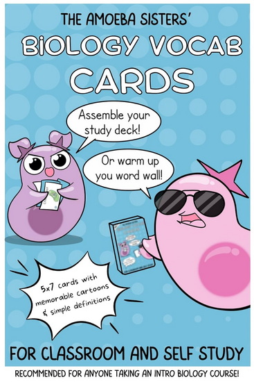 The Amoeba Sisters&#39; Biology Vocab Cards: Vocab Cards for Mastering Science - SARINA PETERSON