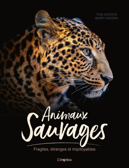 Animaux sauvages : fragiles, étranges et impitoyables - TOM JACKSON - BARRY MADDEN