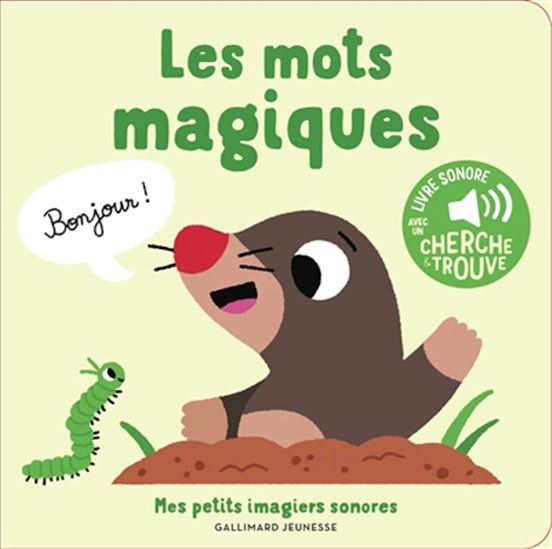 Les Mots magiques - MARION BILLET