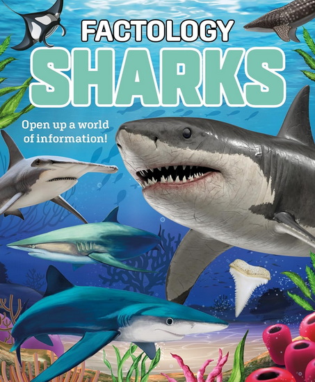 Factology: Sharks: Open Up A World of Information! - COLLECTIF
