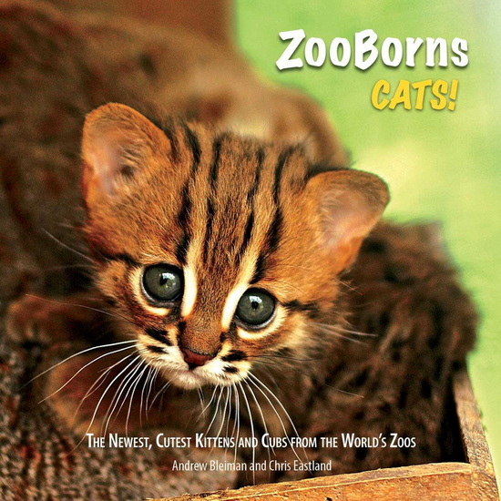 ZooBorns Cats! - ANDREW BLEIMAN
