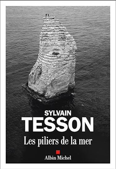 Les Piliers de la mer - SYLVAIN TESSON
