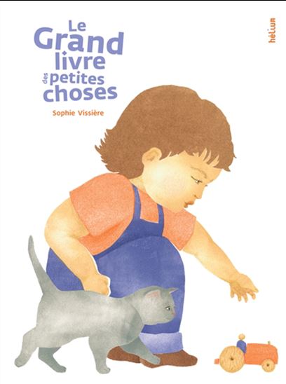Le Grand livre des petites choses - SOPHIE VISSIÈRE