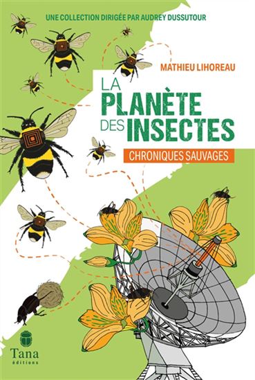 Voyage sur la planète des insectes - MATHIEU LIHOREAU