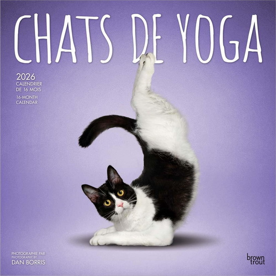 Calendrier 2026 Chats de Yoga 16M 30x30cm