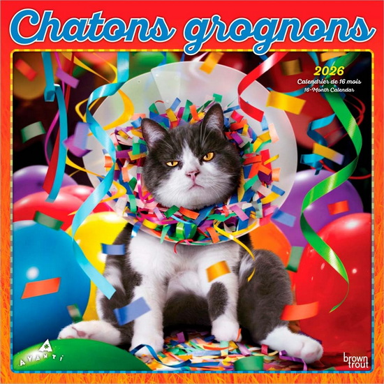 Calendrier 2026 Chatons grognons 16M 30x30cm
