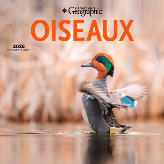 Calendrier 2026 Oiseaux 16M 30x30cm