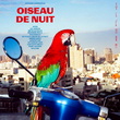 Oiseau de nuit - ANTOINE CORRIVEAU