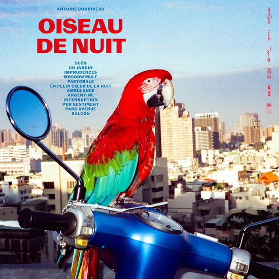 Oiseau de nuit - ANTOINE CORRIVEAU