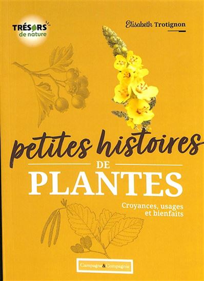 Petites histoires de plantes : Croyances, usages et bienfaits - ELISABETH TROTIGNON