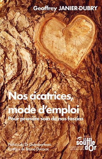 Nos cicatrices, mode d&#39;emploi - GEOFFREY JANIER-DUBRY