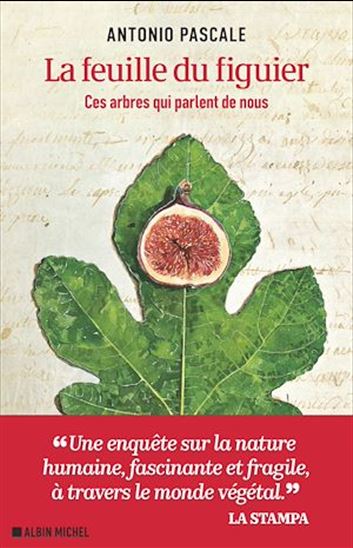 La Feuille du figuier - ANTONIO PASCALE