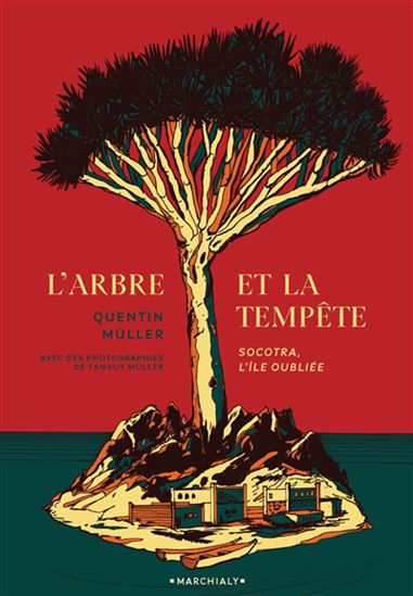 L&#39;Arbre et la tempête : Socotra, l&#39;île oubliée - QUENTIN MÜLLER - TANGUY