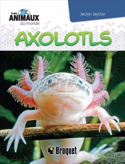 Axolotls - JACLYN JAYCOX