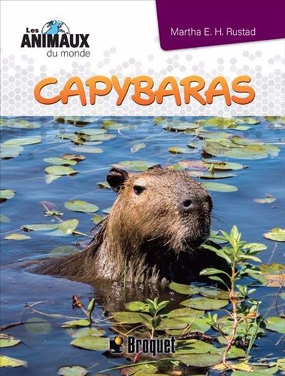 Capybaras - MATHA E H RUSTAD