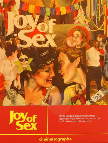 Joy of Sex (Blu-ray) - COOLIDGE MARTHA