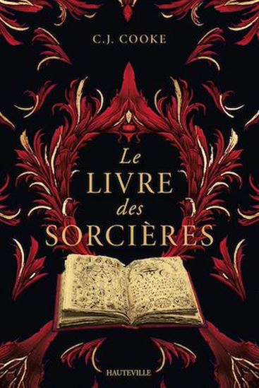 Le Livre des Sorcières - C J COOKE